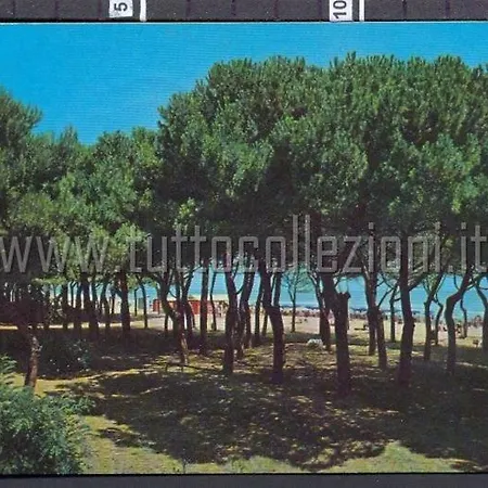 Апартаменты Green Bay Village Trilo 200 M Dal Mare Con Giardino E Piscina Пинето